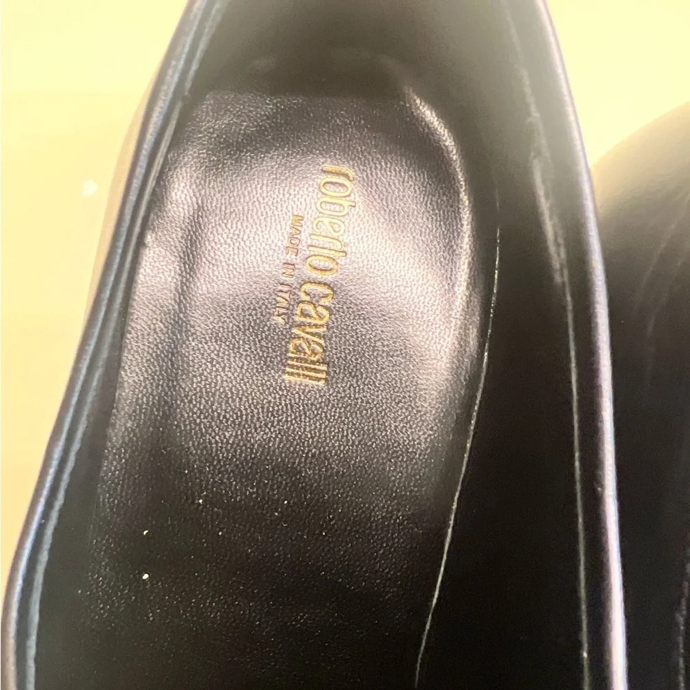 Roberto Cavalli elegant sleek